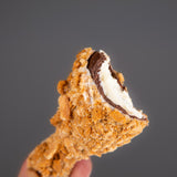 New Viral Choco Chick – Not Chicken, Just Chocolate 1.76 OZ