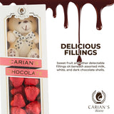 CARIANS  Chocolate Gift Box, Milk Chocolate Hearts with Teddy Bear Gift