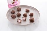 Chocolate Coated Mini Marshmallow Candy Chocolates (12 Pack)